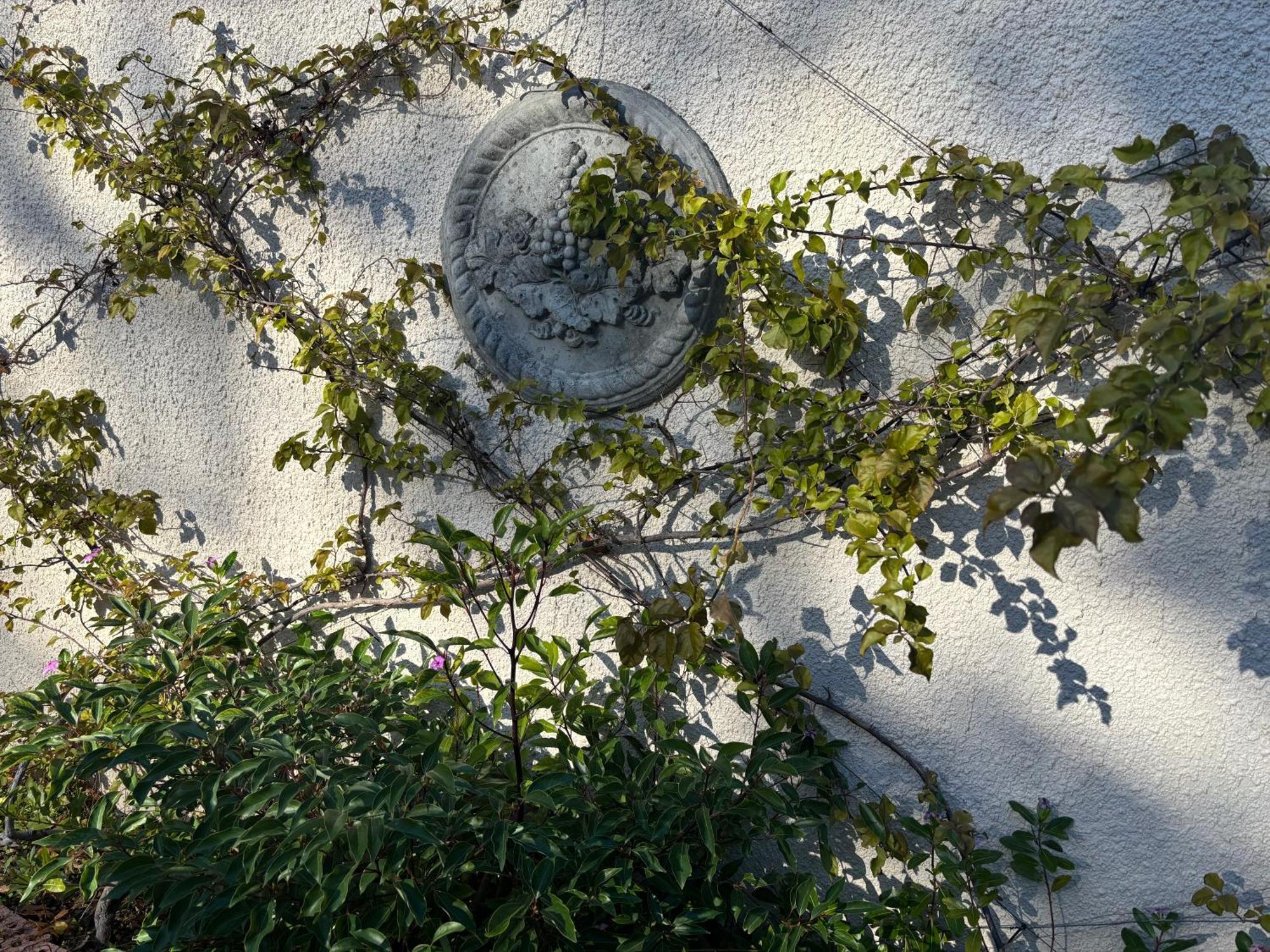 In The Vine Country Manor Guesthouse Stellenbosch Exterior photo